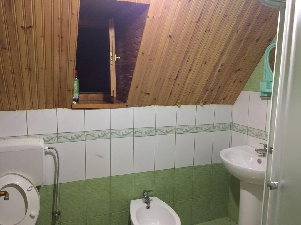 Guesthouse Alpini Lepushe Екстериор снимка